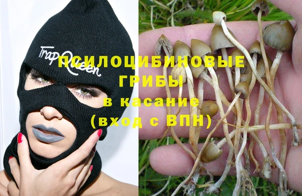 дживик Аркадак