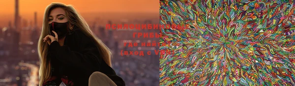 дживик Аркадак