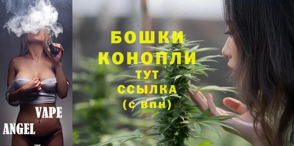 дживик Аркадак