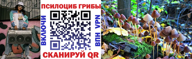 Галлюциногенные грибы мицелий  Артёмовский 